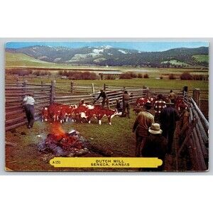 Postcard Kansas Seneca Dutch Mill Cattle Branding Ranch Cowboys Unposted c1950s